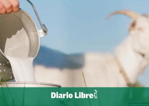 They offer facilities to buy goats and goats