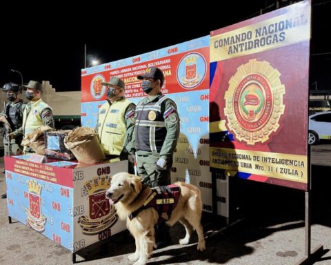 They seize 12 kilograms of cocaine in a parcel package in Zulia