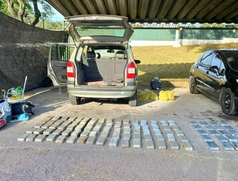 They seize more than 150 kilos of drugs and US$100,000 from a gang that supplied the metropolitan area