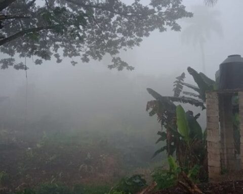 The smoke covers Villa Tapia since last week