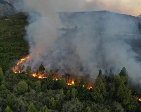 Tierra del Fuego: the fires do not stop and have consumed more than 6,500 hectares