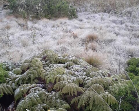Hoy es el día más corto del año y el inicio oficial del invierno