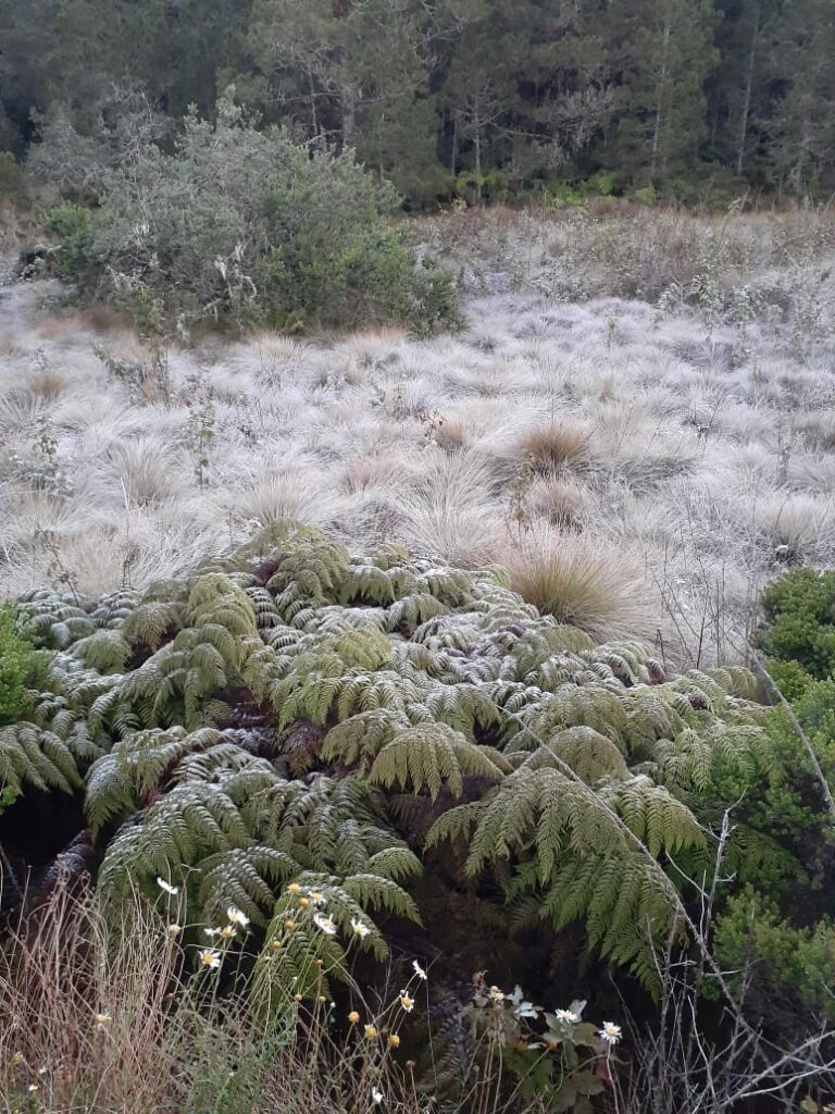 Hoy es el día más corto del año y el inicio oficial del invierno