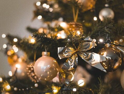 Trends to assemble the Christmas tree: know the prices and options