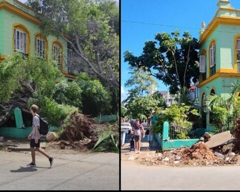 Trunks and branches felled by Hurricane Ian without collecting on the streets of Havana