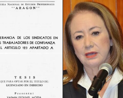 UNAM: "high level of matches" between Yasmín Esquivel's thesis and student