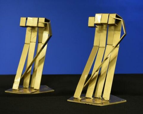 VIII edition of the Nelson Mandela Awards