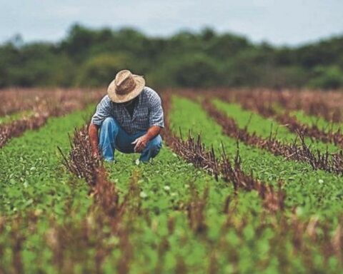 Wanuchay Bonus of S/ 350: Link to check if you are a beneficiary