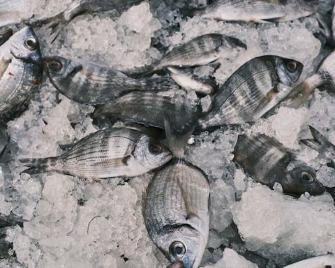 What came in the “frozen fish” suitcase that they gave to Lacalle Pou?