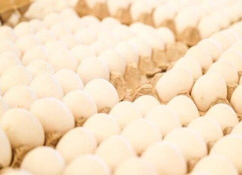 ¿Dónde estarán hoy las bodegas móviles de Inespre?