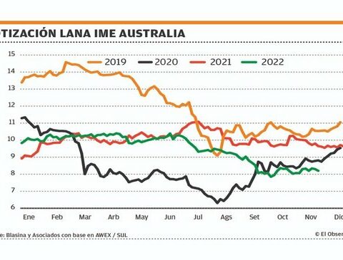Wool price falls due to wide supply and low quality