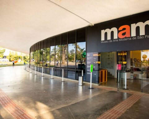 Work on cutting down forests premieres at MAM in São Paulo