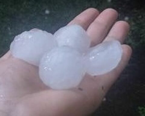 Yesterday's storm caused the fall of large hailstones