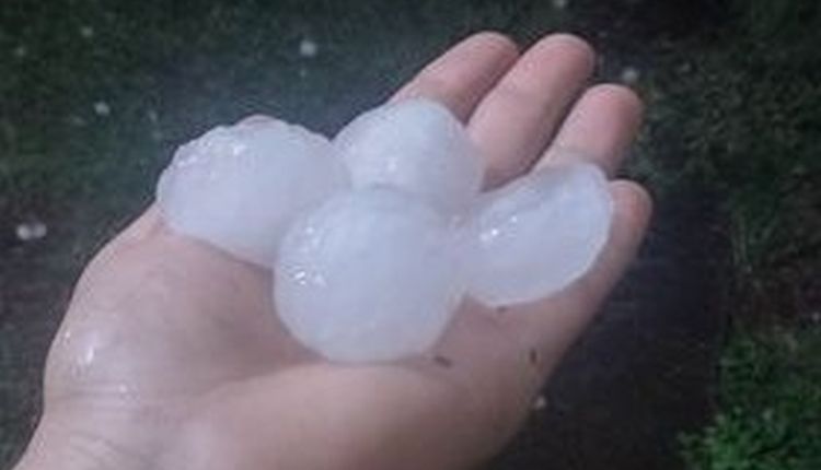 Yesterday's storm caused the fall of large hailstones