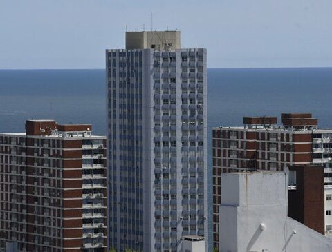 A social network between neighbors: young people created an app to manage buildings