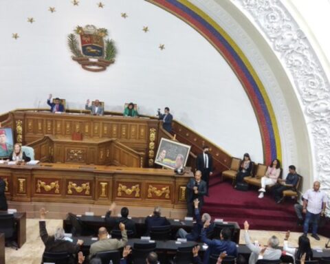 AN approves appointment of deputies to the Amazon Parliament