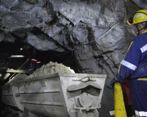 ANM resumes control of Pine mining projects in Antioquia