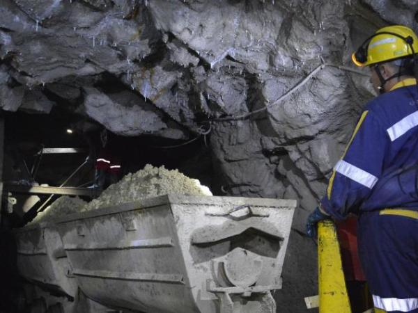 ANM resumes control of Pine mining projects in Antioquia