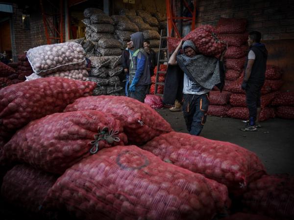 After the closure of the Pan-American highway: the rise in the price of food