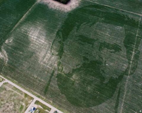 "Agricultural Tattoo", a new tribute to Messi from the Argentine countryside
