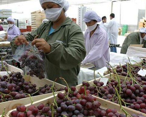 Agriculture: Producer Losses Will Pass US$200 Million This Week