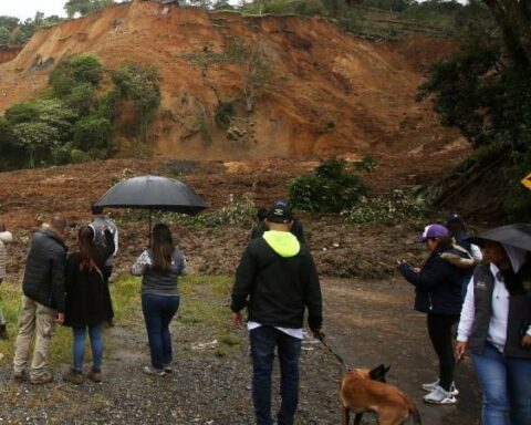 Another landslide in Cauca: Colombian massif is cut off