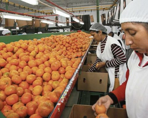 Blockades affect La Calera operations and more than 2,000 workers