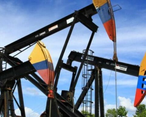 Carf estimates a 30% drop in investment due to non-oil exploration
