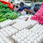 Cese exportación de huevos creará problema excedente, dice Asohuevo