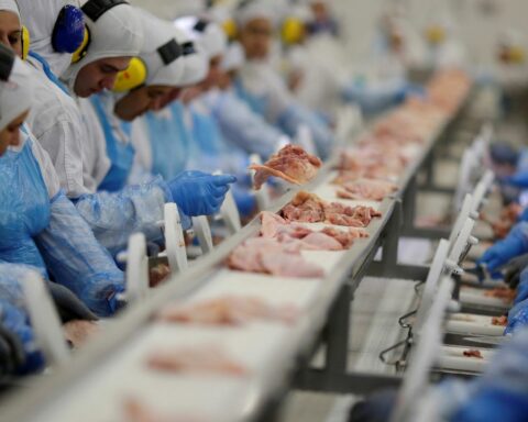 China and Indonesia qualify Brazilian slaughterhouses for export