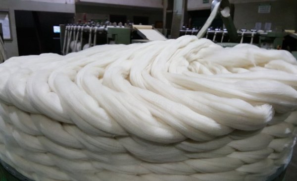 China left the field, Italy is the one that plays the most and the wool industry adapts