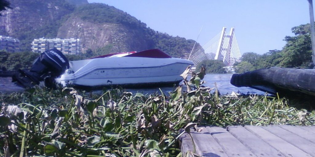 Comlurb removes 280 tons of gigogas from Barra da Tijuca beach