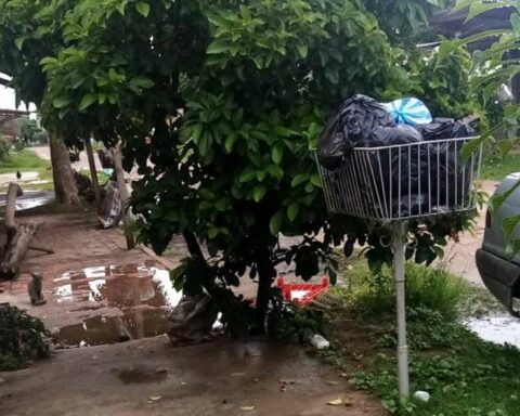 Complaints persist for failures to collect garbage in Santa Cruz