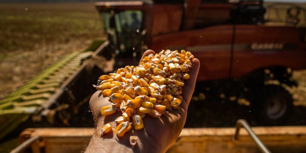 Conab lowers grain harvest forecast for this year