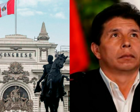 Congress: propose that presidents can be accused of criminal organization and corruption