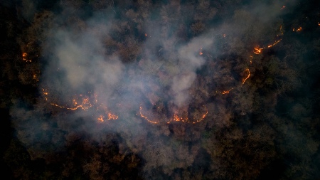 Corrientes, Entre Ríos and Neuquén register active forest fires