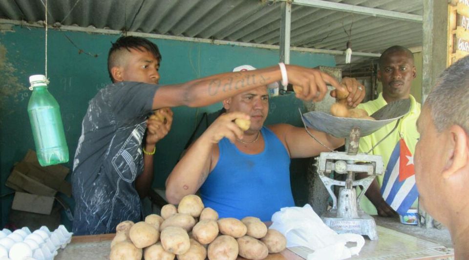 Cubans will pay 11 pesos per pound of potatoes, twice the current price