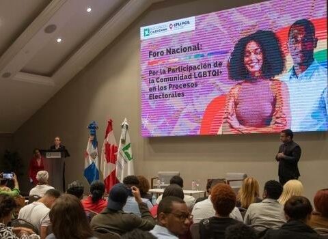 DR LGBTQI+ community demands more participation in politics