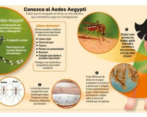 Dengue: A new genotype may be the cause of the rebound in cases