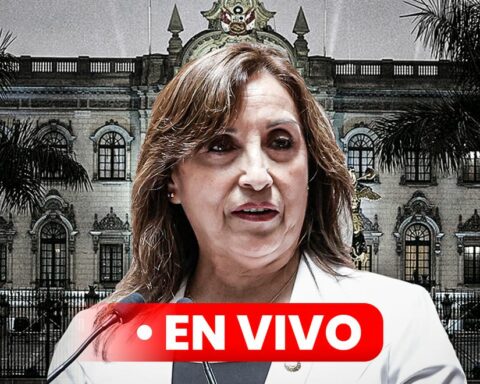 Dina Boluarte LIVE: President and ministers speak out in the midst of a national strike