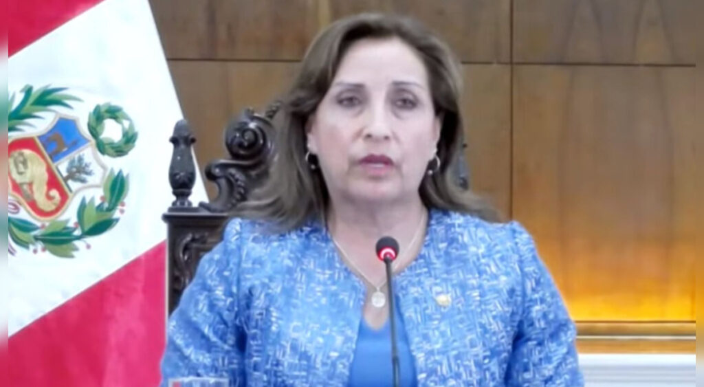 Dina Boluarte before the OAS: "We hope that justice will take its course and establish responsibilities soon"