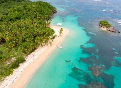 República Dominicana se prepara para llevar a Miches hasta Fitur 2023