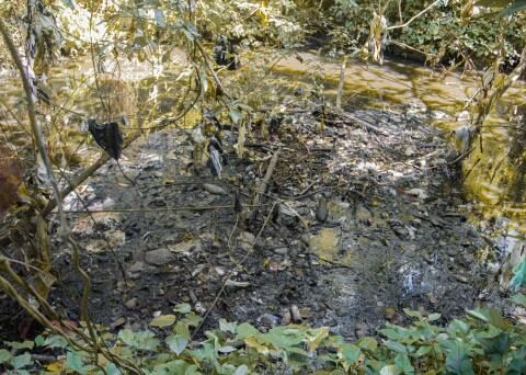 Duquesa leachate and its impact on the environment