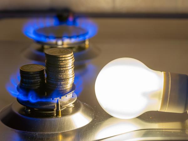 Energy and gas unions pronounce on rate control