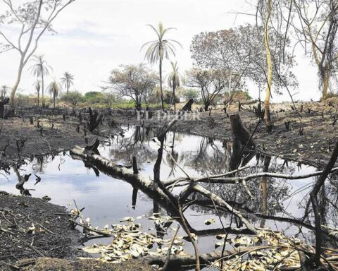 Environmental engineers confirm contamination in the subjugated aquifers of Las Lomas de Arena