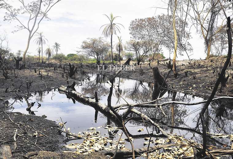 Environmental engineers confirm contamination in the subjugated aquifers of Las Lomas de Arena