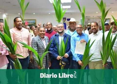 FEDA initiates plan to relaunch the coconut sector in the DR