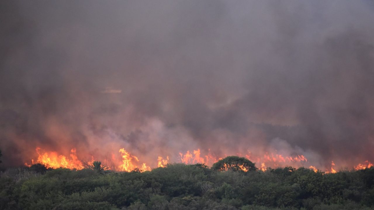Fire in the Ecological Reserve: firefighters try to contain the outbreaks