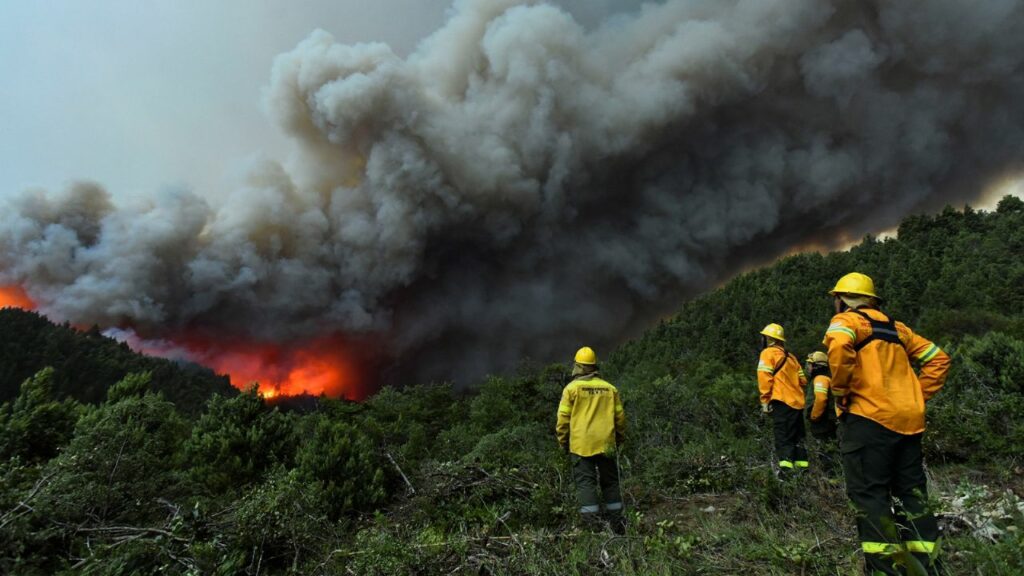 Firefighters and brigade members fight fires in two provinces