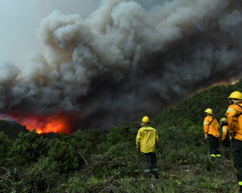 Firefighters and brigade members fight fires in two provinces